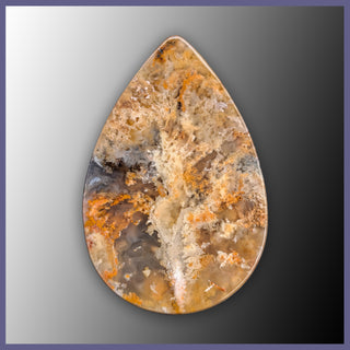 RRP759c Regency Rose Plume Agate Cabochon