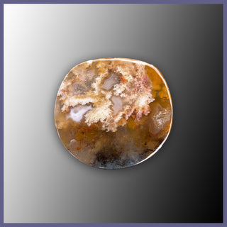 RRP760c Regency Rose Plume Agate Cabochon