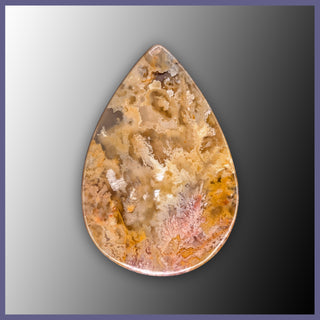 RRP764c Regency Rose Plume Agate Cabochon