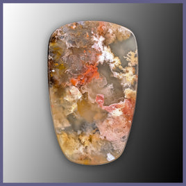 RRP768c Regency Rose Plume Agate Cabochon