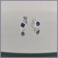 RSJ309 Sapphire Earrings