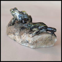 SFR103 Serpentine Frog Carving