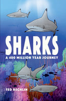Sharks: A 400 Million Year Journey