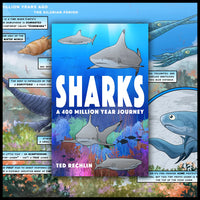 Sharks: A 400 Million Year Journey