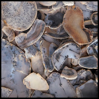 Montana Moss Agate, High Grade, Slabs - 1 lb lot