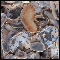 Montana Moss Agate, High Grade, Slabs - 1 lb lot