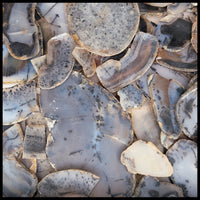 Montana Moss Agate, High Grade, Slabs - 1 lb lot