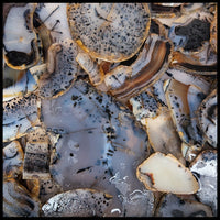 Montana Moss Agate, High Grade, Slabs - 1 lb lot