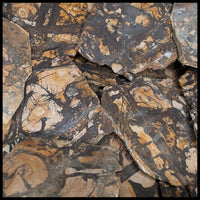 Nguni Jasper Slabs - 1 lb lot