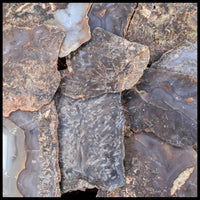 Stick Agate Slabs - 1 lb lot