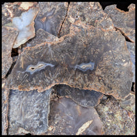 Stick Agate Slabs - 1 lb lot