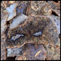 Stick Agate Slabs - 1 lb lot