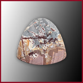 SON359c Sonora Dendritic Cabochon