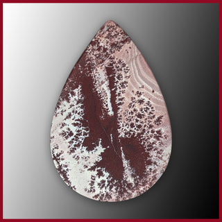 SON361c Sonora Dendritic Cabochon