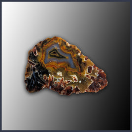 STK106JR Turkish Stick Agate Specimen