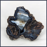 STK109JR Turkish Stick Agate Specimen