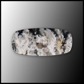 SWP106c White Plume Agate Cabochon