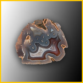 SWZ142 Swazi Agate Specimen