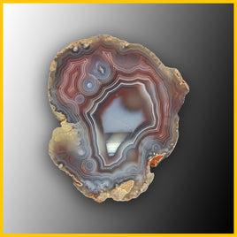 SWZ209jr Swazi Agate Specimen