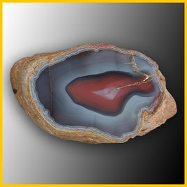 SWZ146 Swazi Agate Specimen