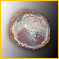 Swazi Agate, Nodular, Rough Rock, per lb