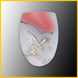 SWZ198c Swazi Agate Cabochon