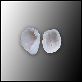 TAB3622 Tabasco Geode Pair