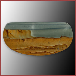 WHP407c Wildhorse Picture Jasper Cabochon