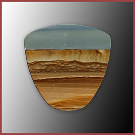 WHP408c Wildhorse Picture Jasper Cabochon