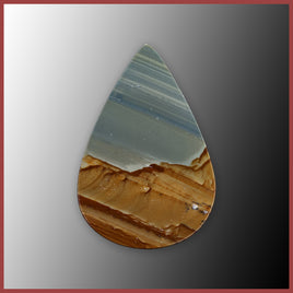 WHP410c Wildhorse Picture Jasper Cabochon
