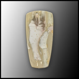 WIC603c Willow Creek Jasper Cabochon