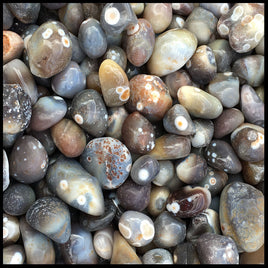 Botswana Eye Agate, Tumbled Stone, 1 lb lot