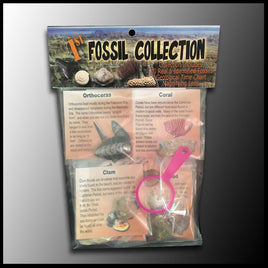 1st Fossil Collection