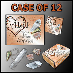 ALU: Energy Case of 12