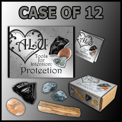 ALU: Protection Case of 12