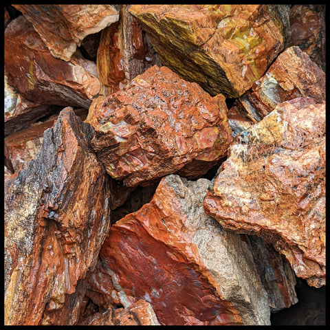 Petrified Wood, Arizona, Rough Rock, per lb