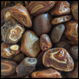 Black River Agate, 10lb lot