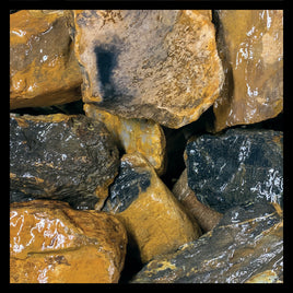 Bone Wood, Indonesia, Rough Rock, per lb