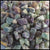 Fluorite, China, Tumbling Rough, per lb