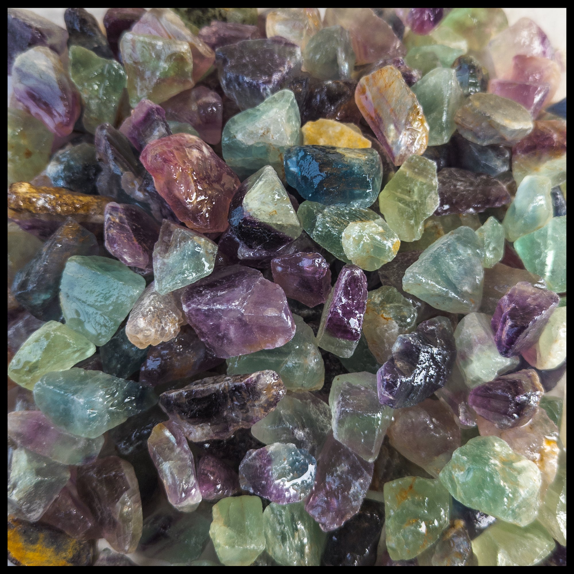 51 kgs in stones and pounds deals