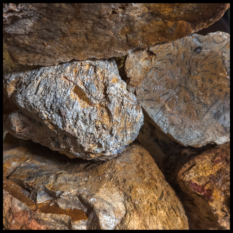 Rough Roc Rough Rock| The Gem Shop, Inc.