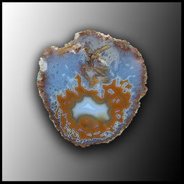 MRC164JR Moroccan Agate Specimen