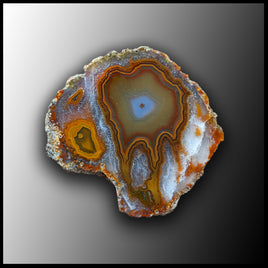MRC166JR Moroccan Agate Specimen