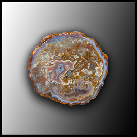 MRC167JR Moroccan Agate Specimen