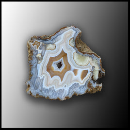 MRC170JR Moroccan Agate Specimen