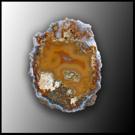 MRC173JR Moroccan Agate Specimen