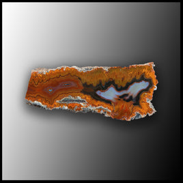 MRC178JR Moroccan Agate Specimen