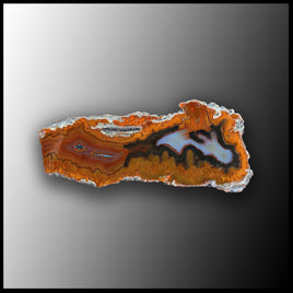 MRC179JR Moroccan Agate Specimen