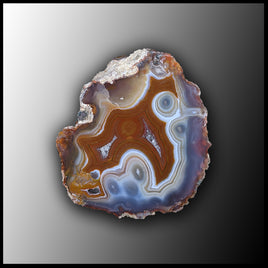 MRC181JR Moroccan Agate Specimen
