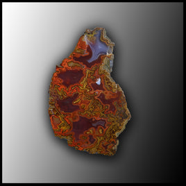 MRC184JR Moroccan Agate Specimen
